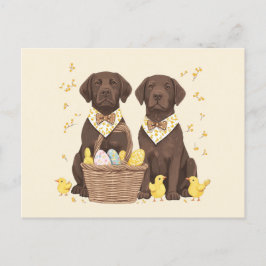 Postal Festiva Perros recuperadores de chocolate de pascua