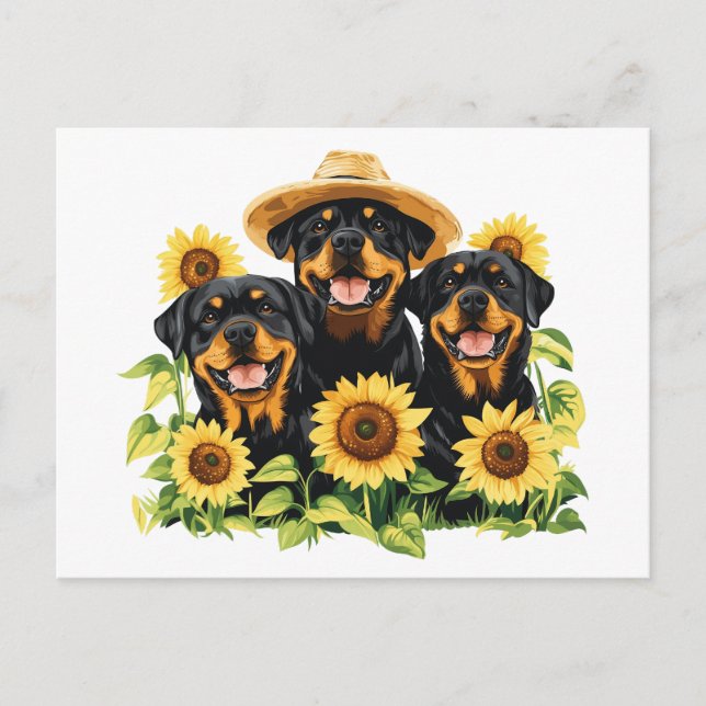 Postal Festiva Perros Rottweiler Rodeados De Sunflowers (Anverso)