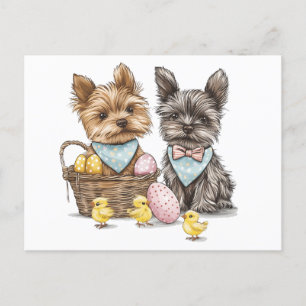 Postal Festiva Perros Terrier de Easter Yorkshire