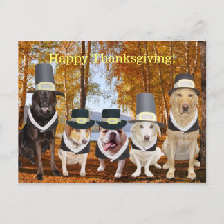 Postal Festiva Personalizable Gracioso Perro Perro Día de Acción