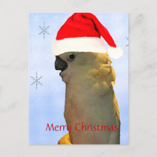 Postal Festiva Personalizado Posando santa festividad Pájaro Cock