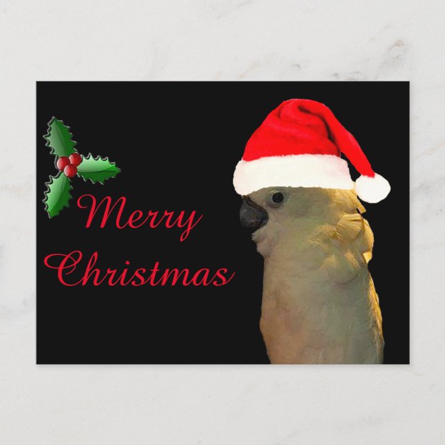 Postal Festiva Personalizado Posando santa festividad Pájaro Cock (Anverso)