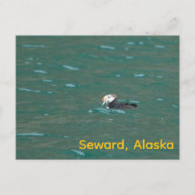 Pescado alimentado con puré