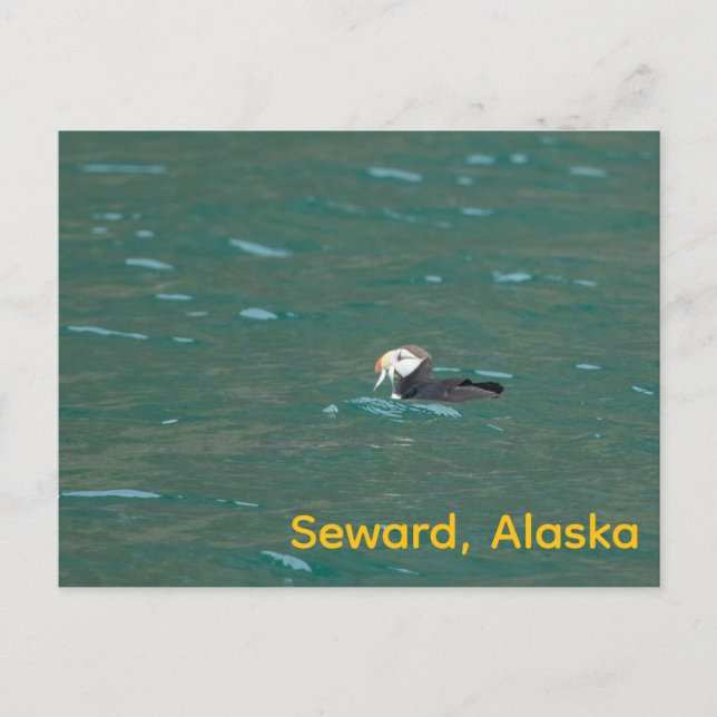 Postal Festiva Pescado alimentado con puré (Anverso)