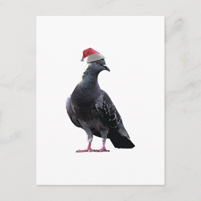 Postal Festiva Pigeon Santa Hat (Anverso)