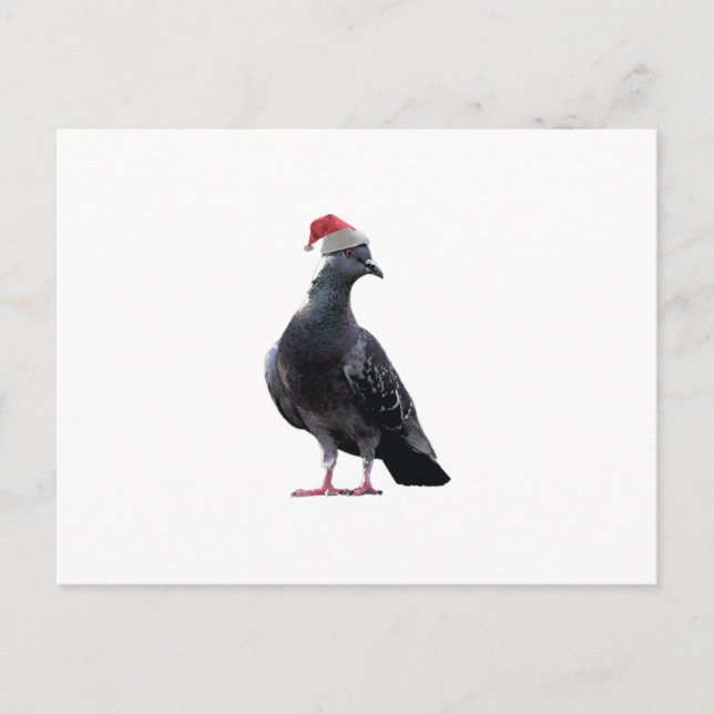 Postal Festiva Pigeon Santa Hat (Anverso)