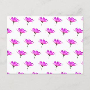 Postal Festiva Pink Daisy