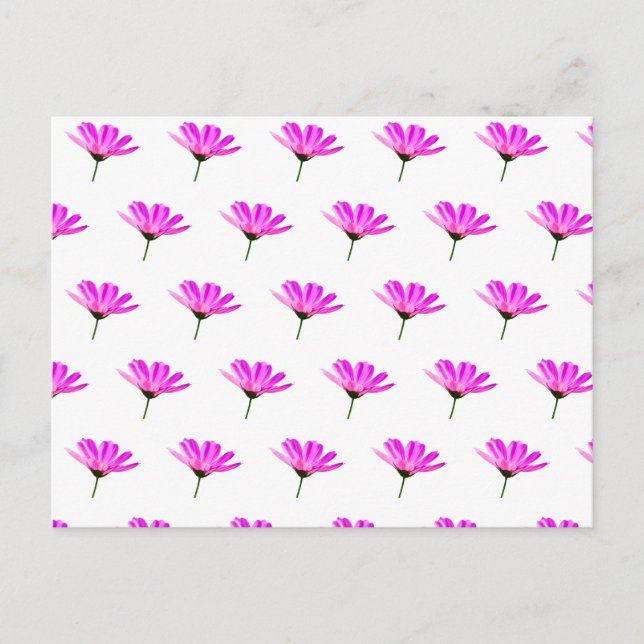 Postal Festiva Pink Daisy (Anverso)