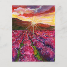 Pink Lavender Field France