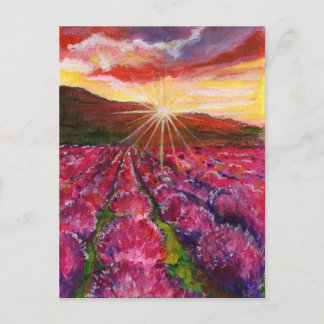 Postal Festiva Pink Lavender Field France