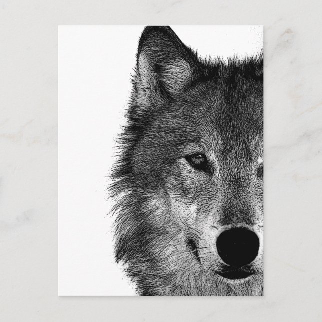 Postal Festiva Pintura de ojos de lobo blanco y negro (Anverso)