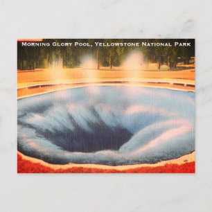 Postal Festiva Piscina de gloria matutina, Parque Nacional Yellow