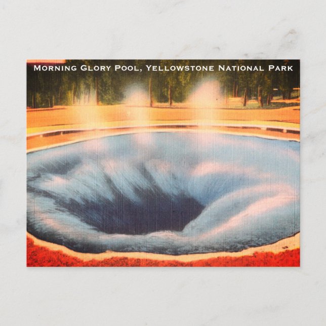 Postal Festiva Piscina de gloria matutina, Parque Nacional Yellow (Anverso)