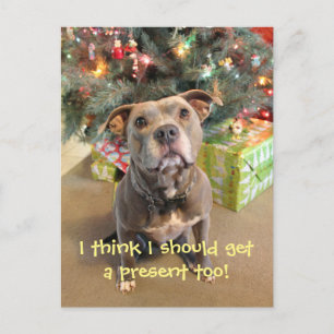 Postal Festiva Pitbull I Want a Present Christmas Postcard