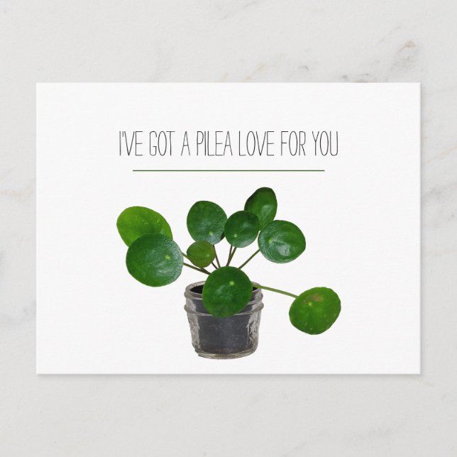 Postal Festiva Plant Pun Pilea Graciosa Postcard Valentine (Anverso)