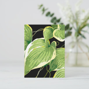 Postal Festiva Planta Ficus 3
