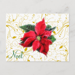 Postal Festiva Poinsettia de Noel