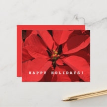 Poinsettia Merry Christmas Feliz Año Nuevo