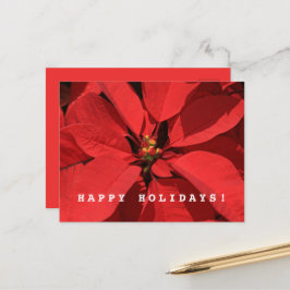 Postal Festiva Poinsettia Merry Christmas Feliz Año Nuevo