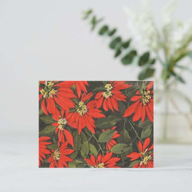 Postal Festiva Poinsettia roja (Anverso de pie)