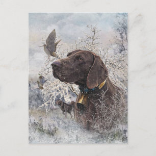 Postal Festiva Pointer Alemán de Pelo Corto
