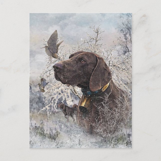 Postal Festiva Pointer Alemán de Pelo Corto (Anverso)