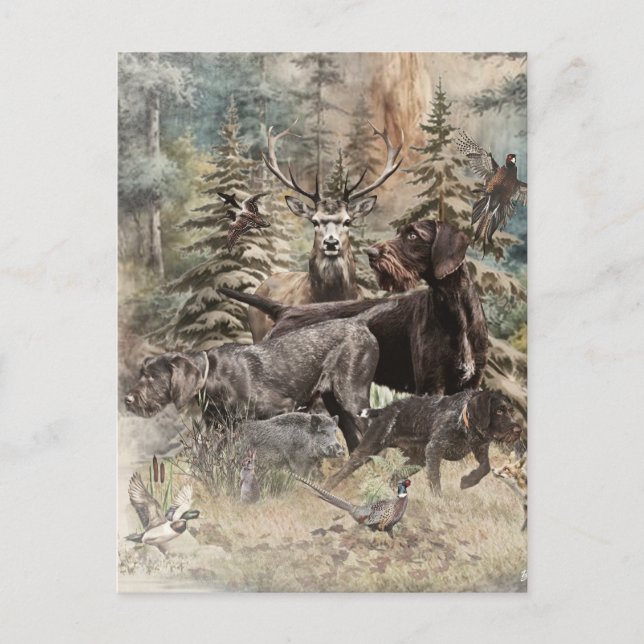 Postal Festiva Pointer alemán de pelo duro (Anverso)