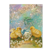 POLLOS, SNOWDROPS Y HUEVOS ORIENTALES CON BOCA AZU