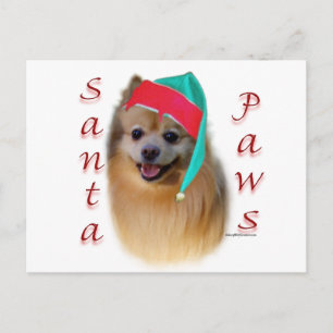 Postal Festiva Pomerania Santa Paws