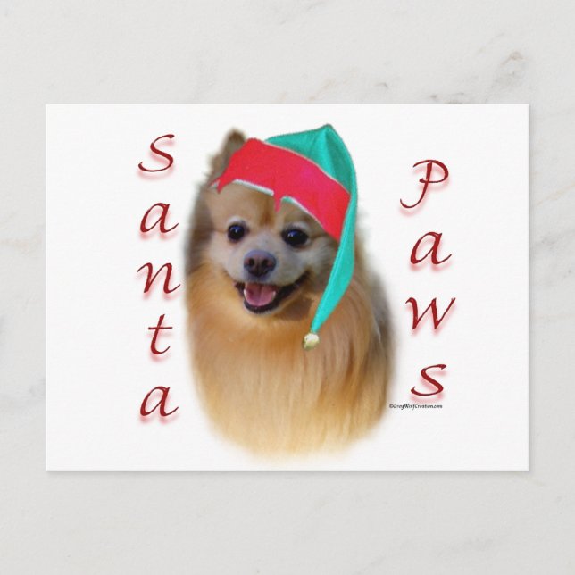 Postal Festiva Pomerania Santa Paws (Anverso)