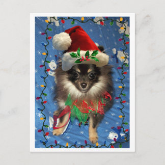 POSTAL FESTIVA POMERANIAN SANTA