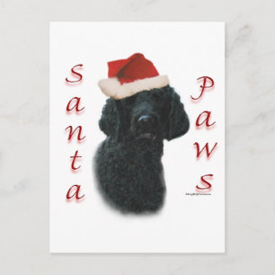 Postal Festiva Poodle Santa Paws