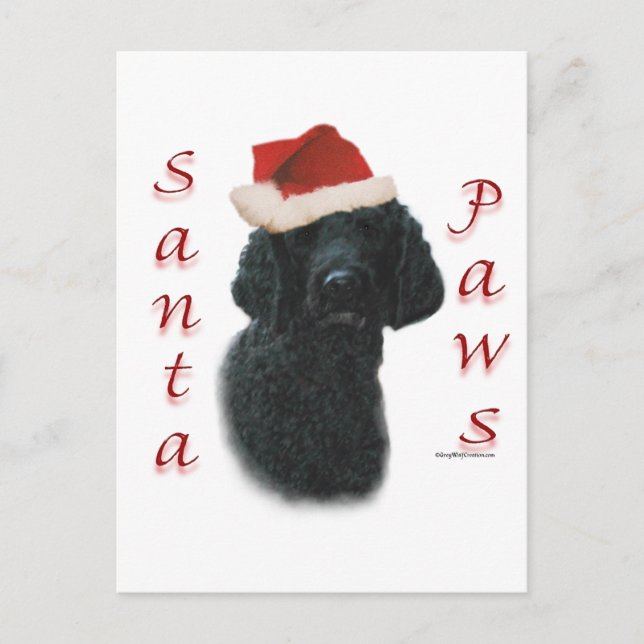 Postal Festiva Poodle Santa Paws (Anverso)