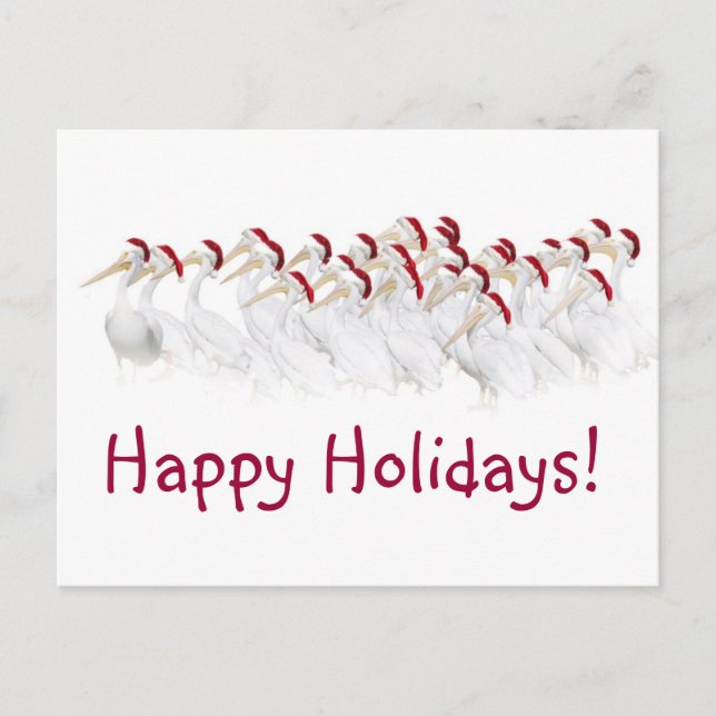 Postal Festiva ¡Postales del pelícano buenas fiestas! (Anverso)