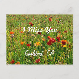 Postal Festiva Postales: Los campos de flores, Carlsbad, CA