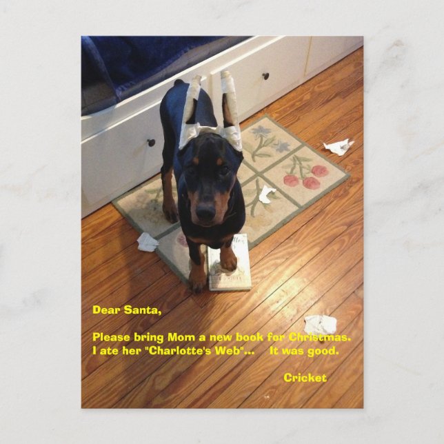 Postal Festiva Postcard (Anverso)