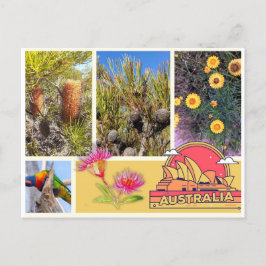 Postal Festiva Postcard Australia
