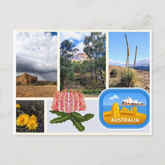 Postal Festiva Postcard Australia (Anverso)