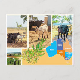 Postal Festiva Postcard Australia