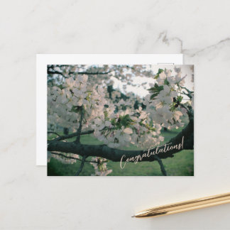 Postal Festiva PostCard Congratulations!