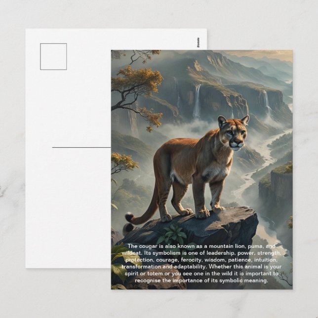 Postal Festiva Postcard de Cougar (Anverso / Reverso)