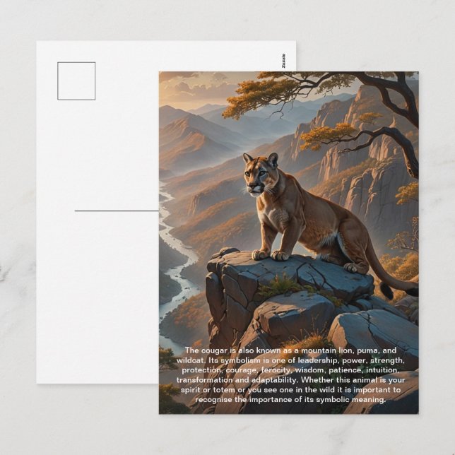 Postal Festiva Postcard de Cougar (Anverso / Reverso)