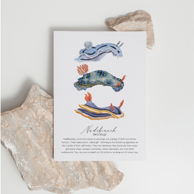 Postal Festiva Postcard de las gotas de mar (Subido por el creador)