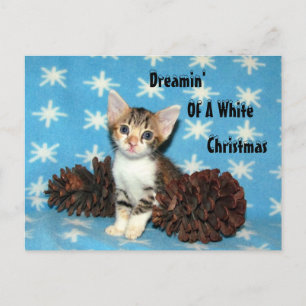 Postal Festiva PostCard de Navidades de Típpy - Gato / Gatito