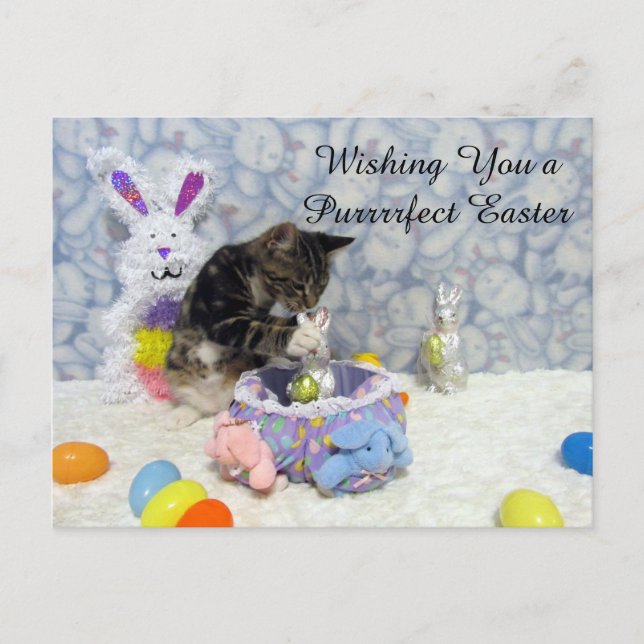 Postal Festiva Postcard de Pascua de Bandit (3420) (Anverso)