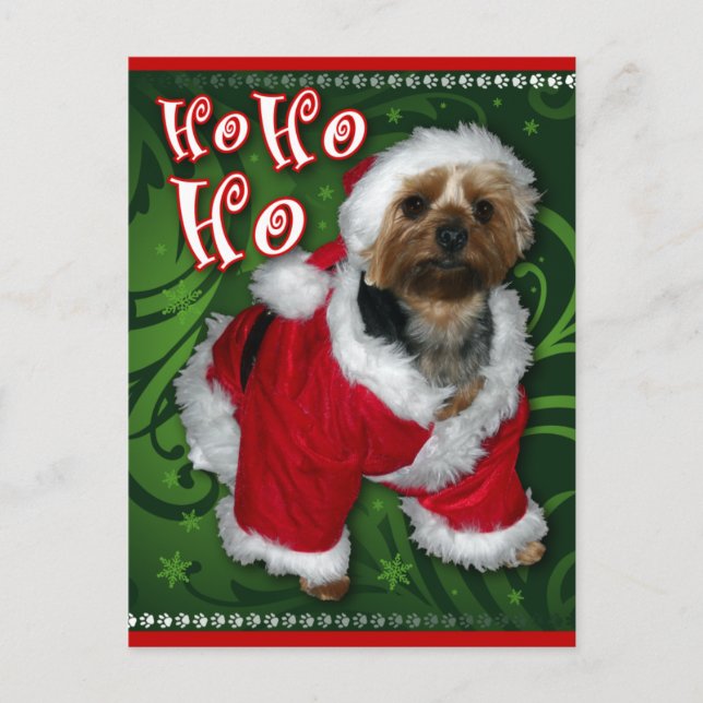 Postal Festiva Postcard de Santa Yorkie (Anverso)