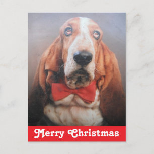 Postal Festiva Postcard Merry Christmas Basset Hound