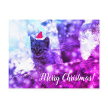 Postcard Merry Christmas Kitten