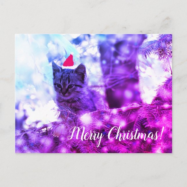 Postal Festiva Postcard Merry Christmas Kitten (Anverso)