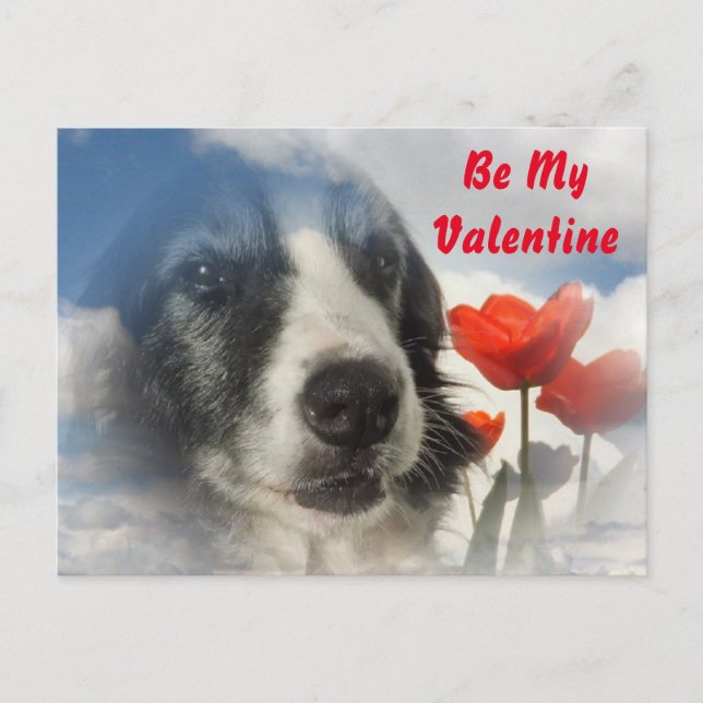 Postal Festiva Postcard Sprollie Be my Valentine (Anverso)